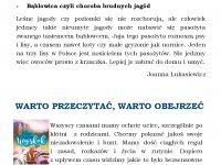 Publikacja  Panorama Page 009